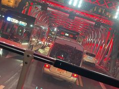 -BUS TOUR观光巴士