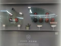 -车艺尚上海龙膜隐形车衣汽车贴膜旗舰店