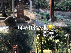 -碧桂园十里银滩
