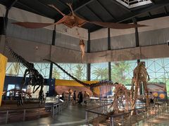 -湖南省地质博物馆