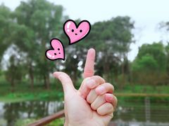 -昆山城市生态森林公园