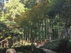 -南园(太仓市)