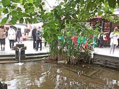 -三道苗苗鱼(三道堰老字号店)