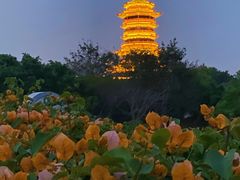-厦门园林博览苑