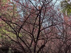 -木塔寺遗址生态公园