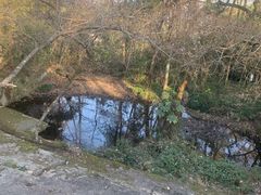 -千岛湖东南湖区