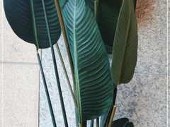 -K·Kitchen KK牛扒厨房(江南西店)