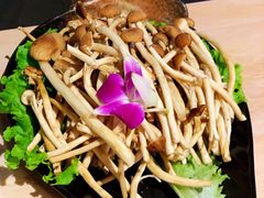 -龙门养心粥火锅(祥恒广场店)