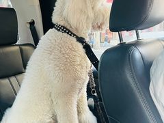 -邢大夫动物医院