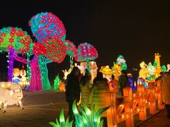 -黄龙溪欢乐田园