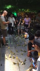 -酷嗒动物文化乐园(cutezoo西溪乐天城店)