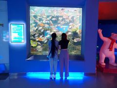 -石家庄海洋公园