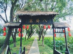 -洪湖生态旅游区