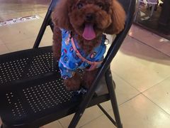 -MIKAKU(万达广场上海宝山店)