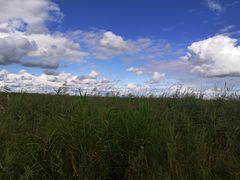 -呼兰河口湿地公园