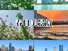 -天鹅湖体育公园