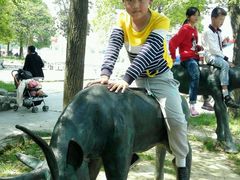 景点-溱湖国家湿地公园