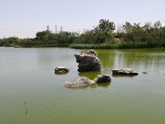 -大港湿地公园
