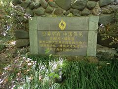 -张家港金凤凰度假村温泉