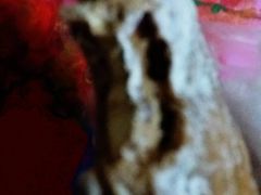 -AEON永旺(东方宝泰店)