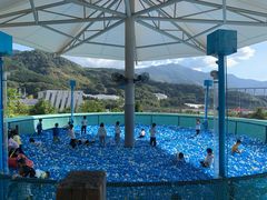 -瓷天下海丝谷