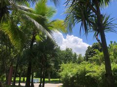 -深圳国际园林花卉博览园