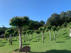 -三亚南山文化旅游区