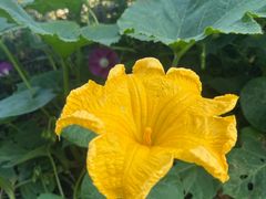 -百里峡七彩艺术小镇