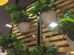 大堂-蚝太郎 • 海鲜烧烤(建国路创始店)