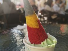 -柠檬车露(卖草地店)