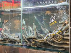 -本炙炭烤·蒲烧活鳗料理店(金沙洲店)