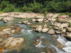 -四会奇石河风景区