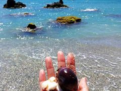 -龙坑生态保护区