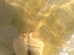 -碧海金沙