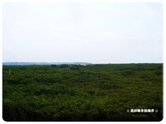 -北海金海湾红树林生态旅游区