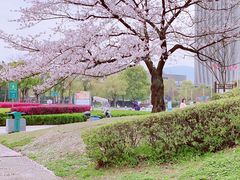 -闻泰花园酒店