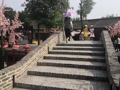 -茯茶镇