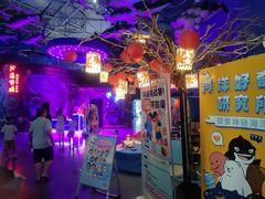 -烟台海昌鲸鲨海洋公园