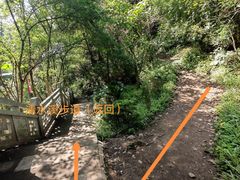 -南山植物园