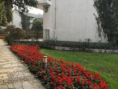 -上海市保健医疗中心