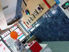 -瑞派名望志远动物医院·猫科·內科·异宠专科(直港大道店)