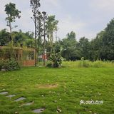 🆕拍照超出片的国风小院