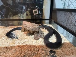 -Zoolung Zoolung动物主题公园(海信广场店)