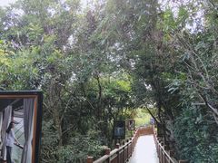 -亚龙湾热带天堂森林公园