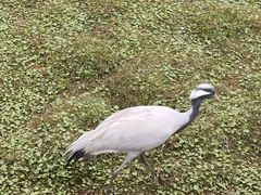 -普洱太阳河森林公园