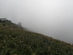 -白草畔自然风景区