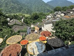 -婺源风景区