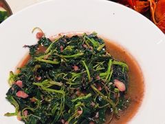 -杨氏青龙虾·羊蝎子(托乐嘉店)