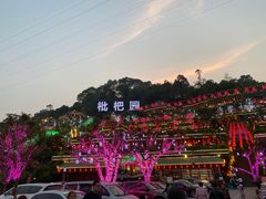 -枇杷园食为鲜火锅(南山店)