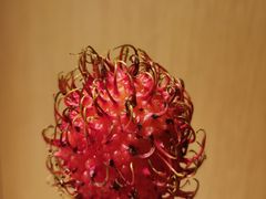 -林旺社区水果市场